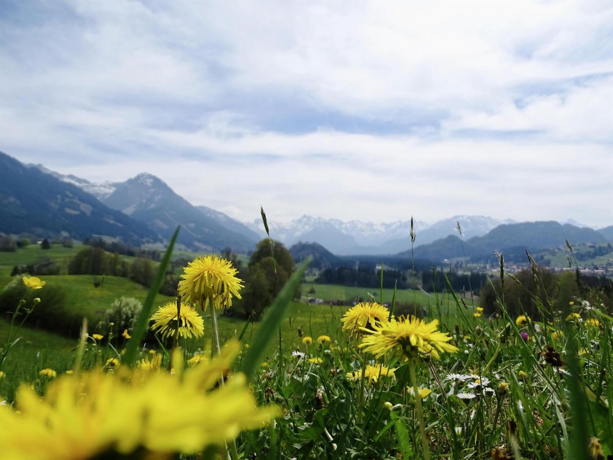 Gaestehaus Koch Fischen im Allgaeu Buitenkant foto