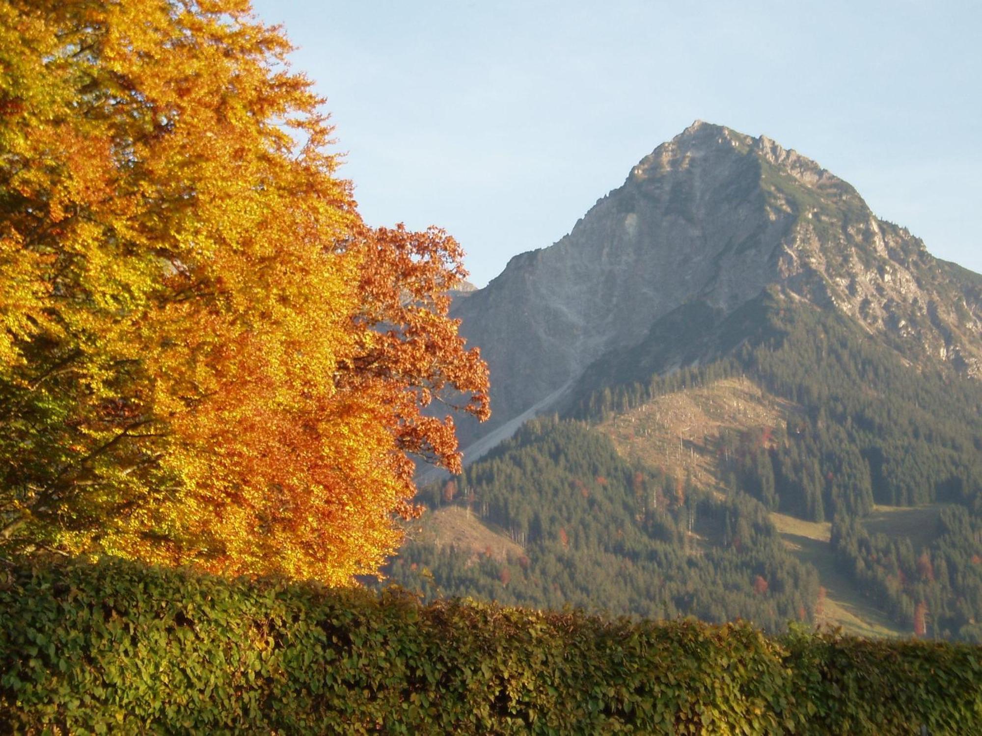 Gaestehaus Koch Fischen im Allgaeu Buitenkant foto