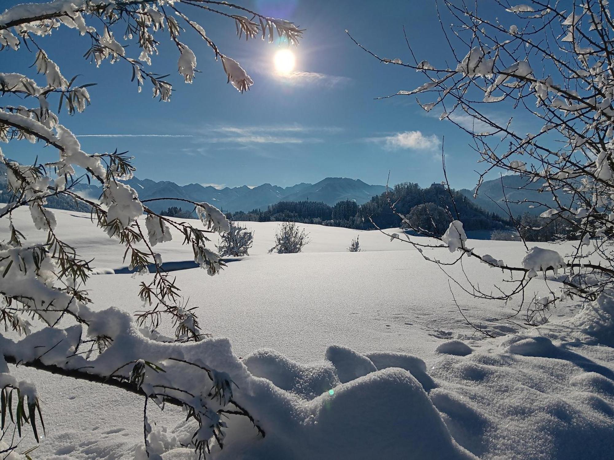 Gaestehaus Koch Fischen im Allgaeu Buitenkant foto